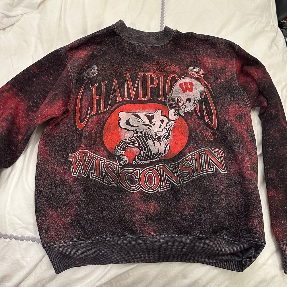 Vintage University of Wisconsin-Madison sweatshirt 1994 Champion Furst of a kind
